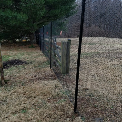 Fence Line Posts